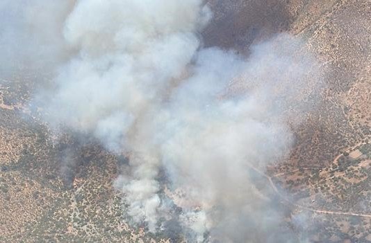 Active forest fire with high intensity and rapid spread is recorded in Curacaví